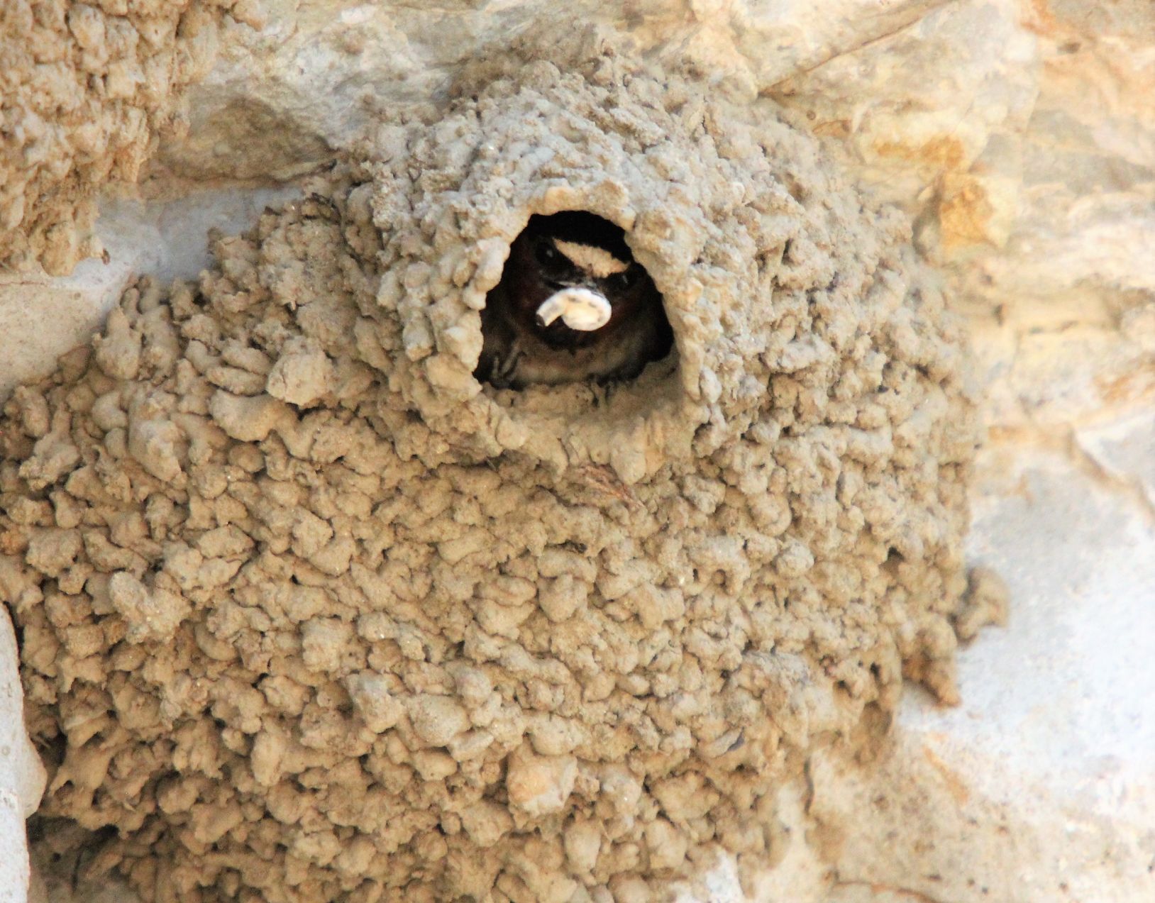 Cave In Rock 1 043.JPG